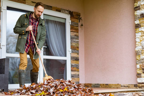 Best Electronics Removal Services  in Berthoud, CO